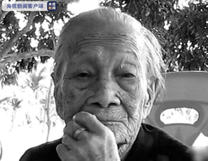 第9个世界慰安妇纪念日:她们的伤痛不容忘却