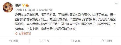 前国脚谢晖因酒后失言被停职是怎么回事 谢晖都说了什么胡话