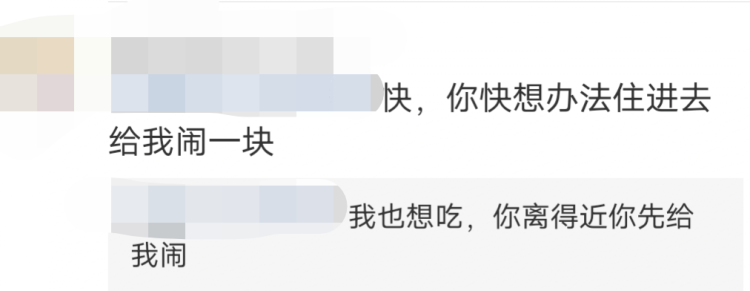 一夜爆红的“宛平南路600号”月饼是如何诞生的?限量1000份,目前已有800多份被预定
