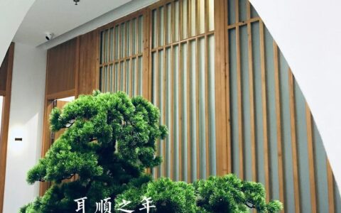 商标的有效期是多久啊及中国注册商标的有效期