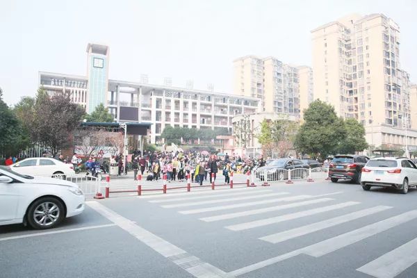 开车过斑马线不礼让将罚款,11月12日起正式执行(文内附情况解读)