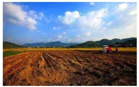 占用土地怎么样补偿及占用农民耕地赔偿标准