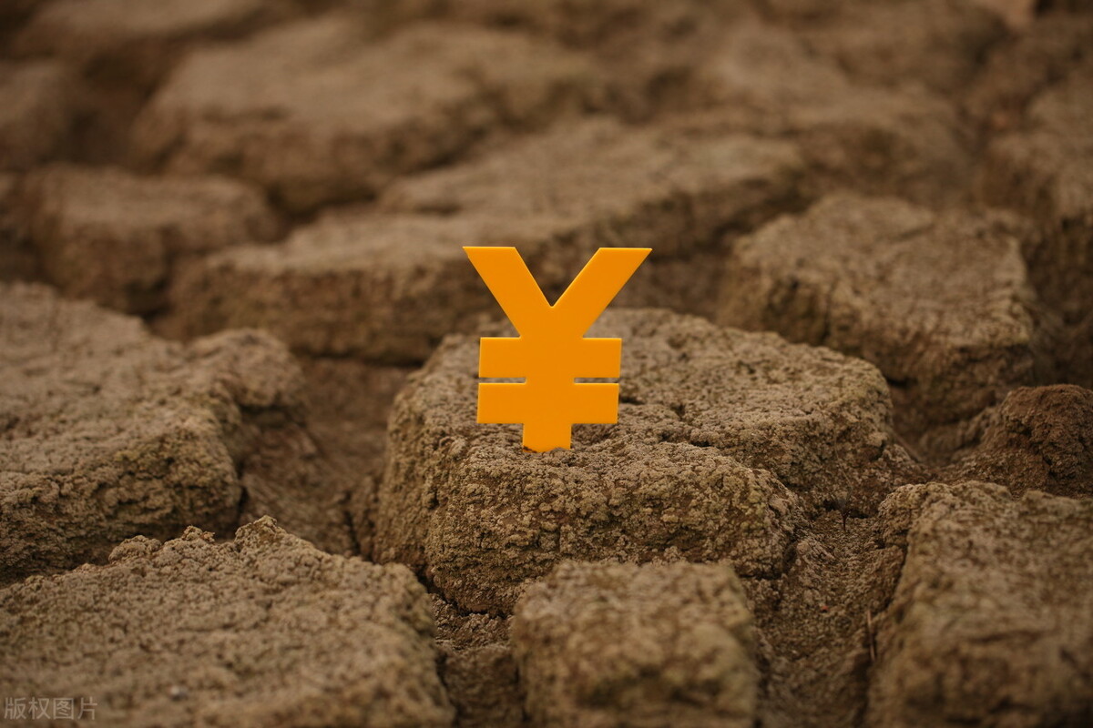 一个国家除了税收，还有哪些收入来源？
