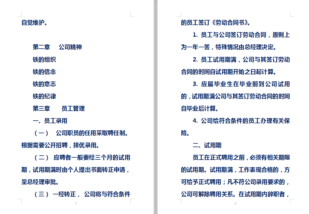 一般性企业管理制度范文(稍微修改一下,就能直接套用的模板)