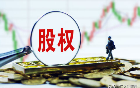期权和股权的区别在哪里及期权和股权的区别分析