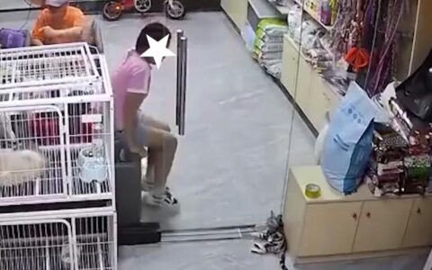 家长将带推门夹猫女孩看心理医生及夹猫女孩的最新消息