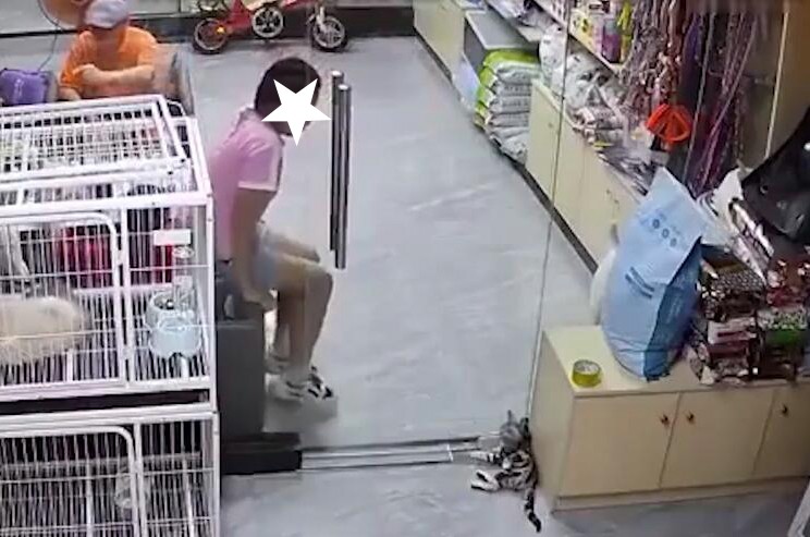 女孩推玻璃门夹死小猫，未必阴暗但缺仁爱，店主约其家长面谈解决