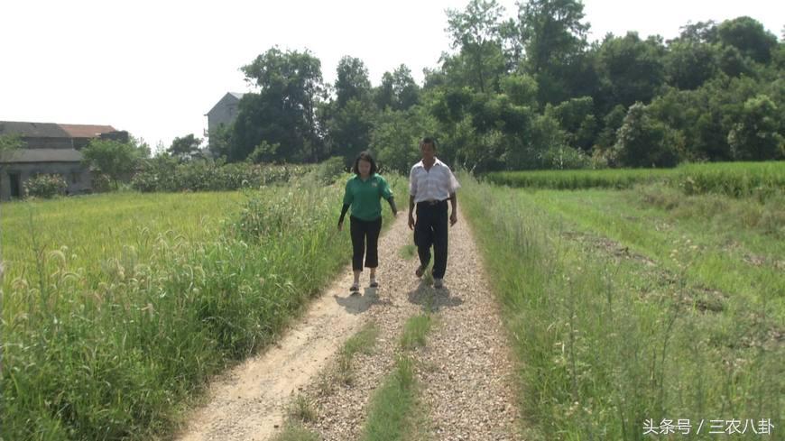 农村征地有大变化！这些问题农民要了解，否则拿不到征地补偿！