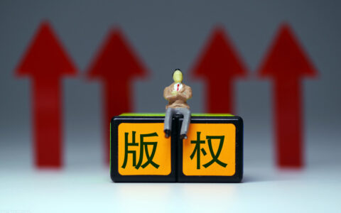 版权被侵犯，损失如何计算？