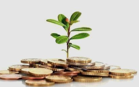 营业执照办理注册资金需要多少及企业营业执照注册资金