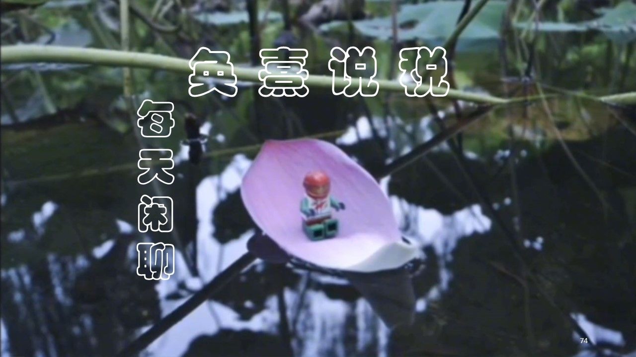 收到的发票丢失了，怎么办？听说还要登报？