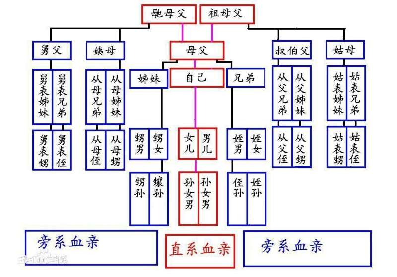 结婚（2）：血缘关系要理清，免得婚姻登记不成