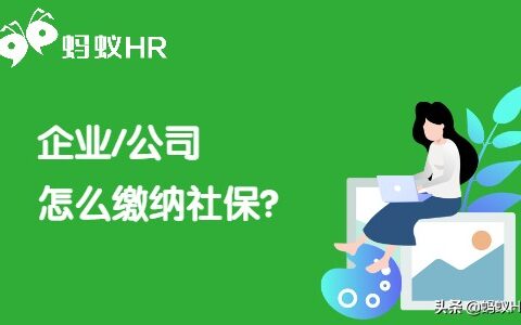 公司社保怎么交及公司社保缴纳流程