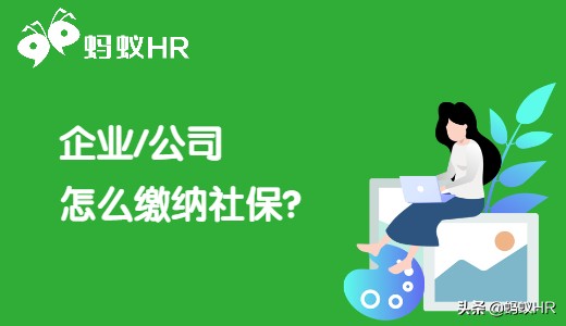 企业怎么缴纳社保？