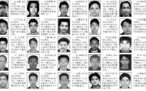 网上通缉犯怎么查询及个人犯罪记录网上查询