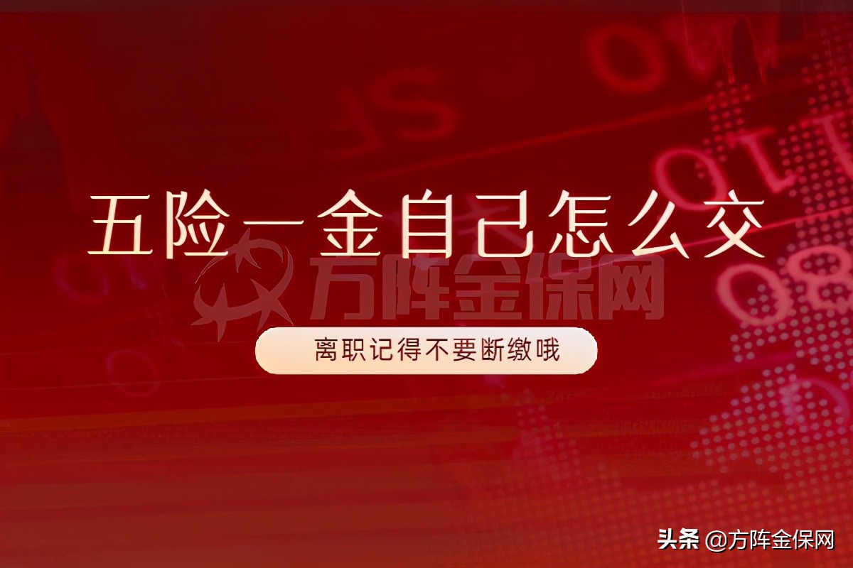 五险一金自己怎么交？可以选择代缴