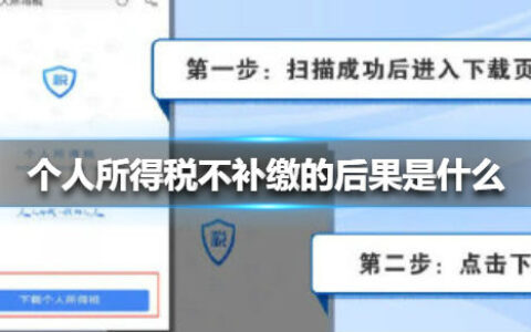个人所得税不申报补税会怎样 个人所得税不补缴的后果影响