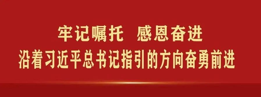 收藏！社会保险费缴费证明（单位）可以在电子税务局开具啦！