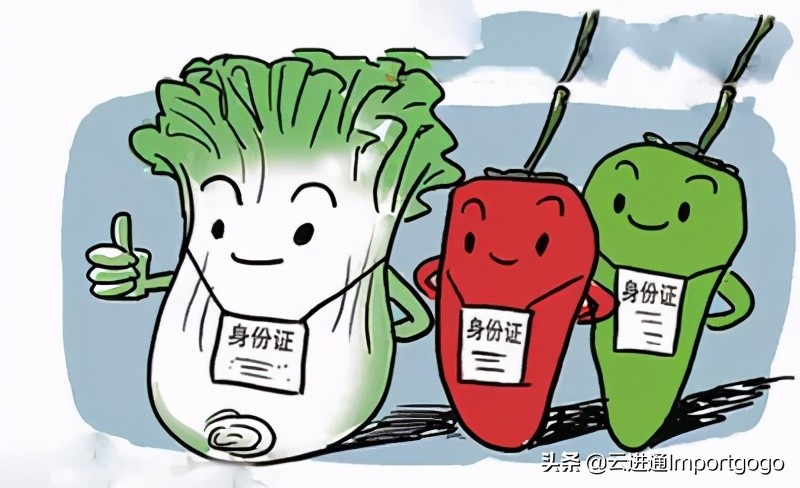 「进出口食品安全」进出口食品添加剂海关监管指南