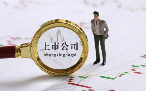 为什么有些企业要上市？上市好不好？
