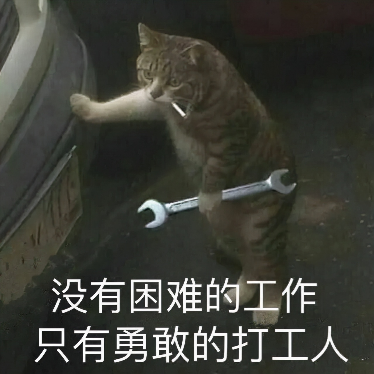开发票含税与不含税有什么区别？