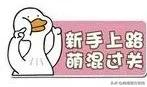 驾驶证实习期记满12分会怎样?