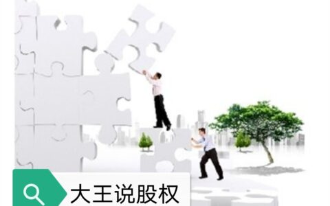 大王说股权：股权并购和资产并购的区别