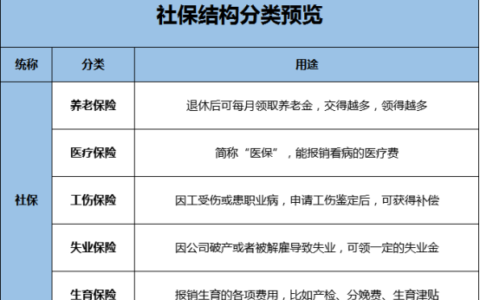 社保就是养老保险吗及12333社保激活教程