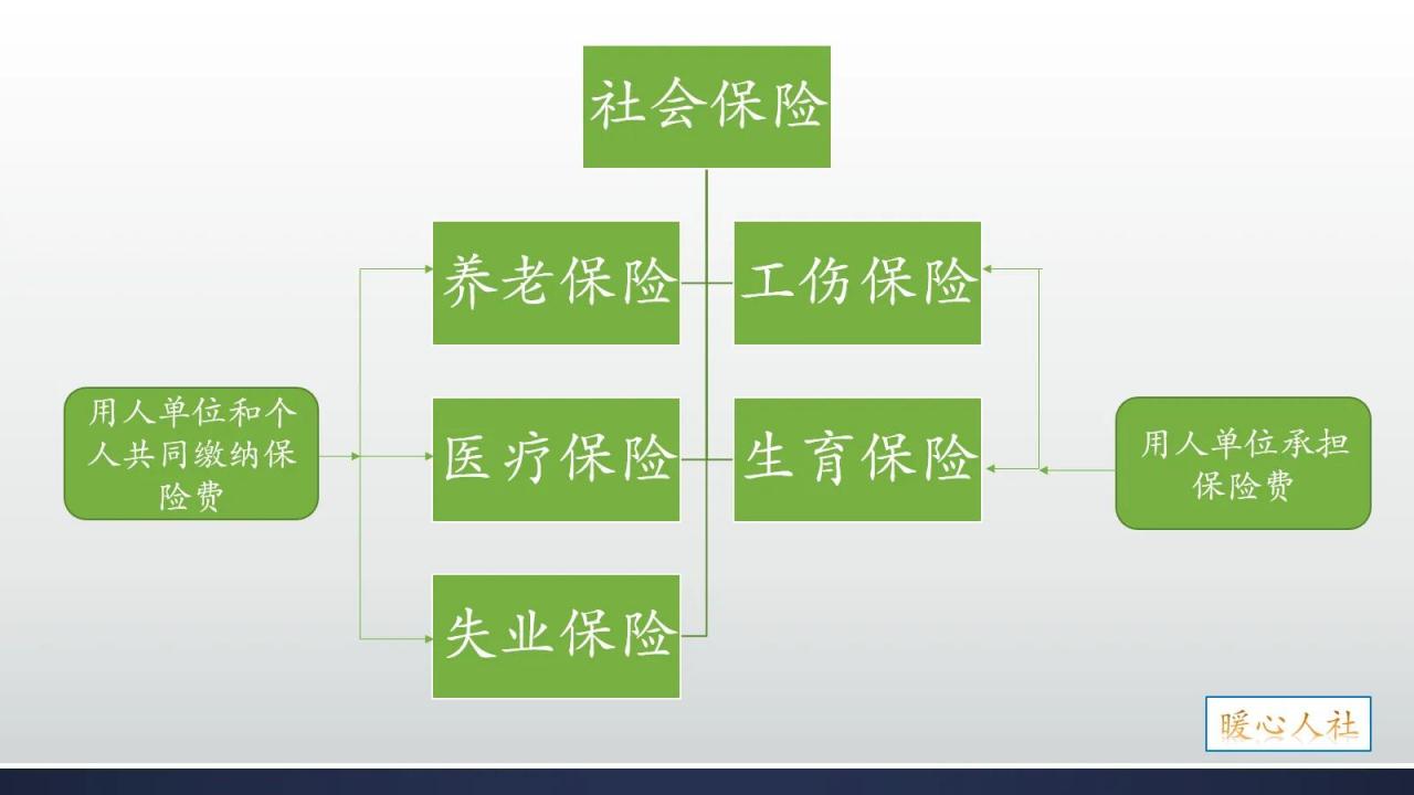 个人主动离职,怎样才能才能让社保不中断,让自己损失降到最低?