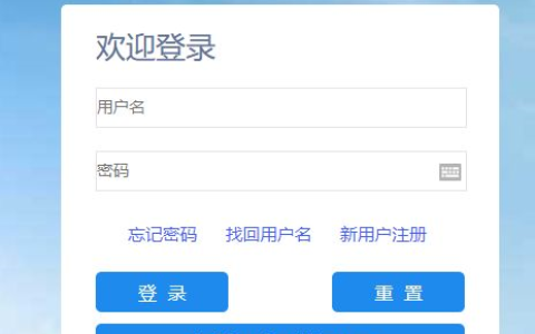 输入姓名查询社保缴费明细