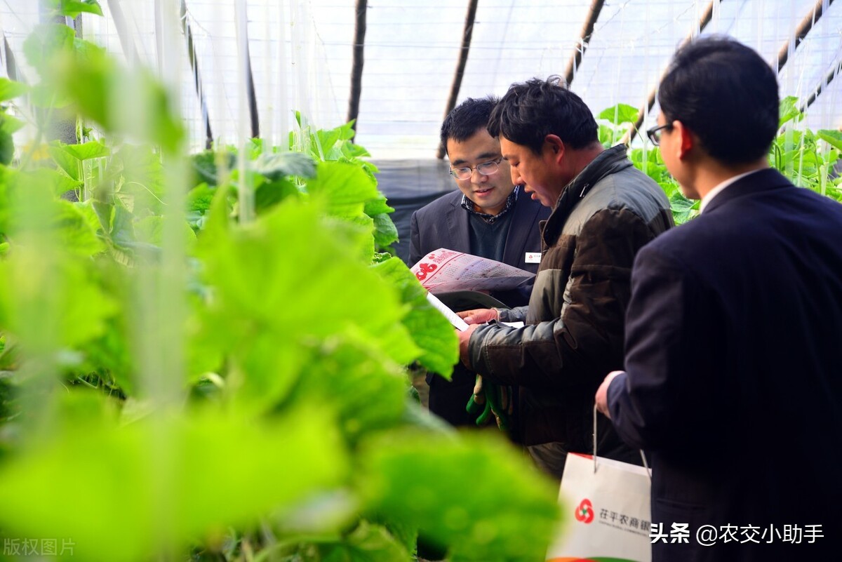 申请农业贷款后一般多久发放？有哪几种贷款方式？