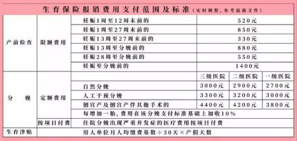 生育险交完怎么用?