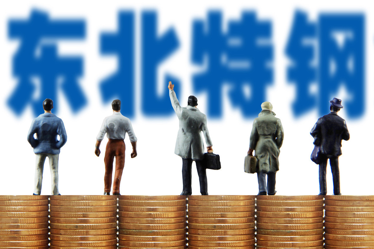 股东会与股东大会的区别