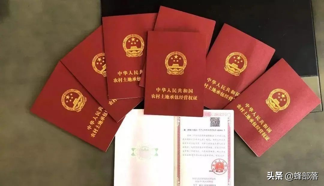 老人过世后,承包的土地子女可以继承吗?一种可以一种不行