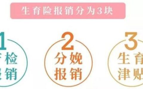 生育保险怎么用及生育险最新新政策