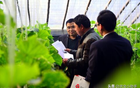 农村信用社贷款要多久及农村信用社个人贷款查询