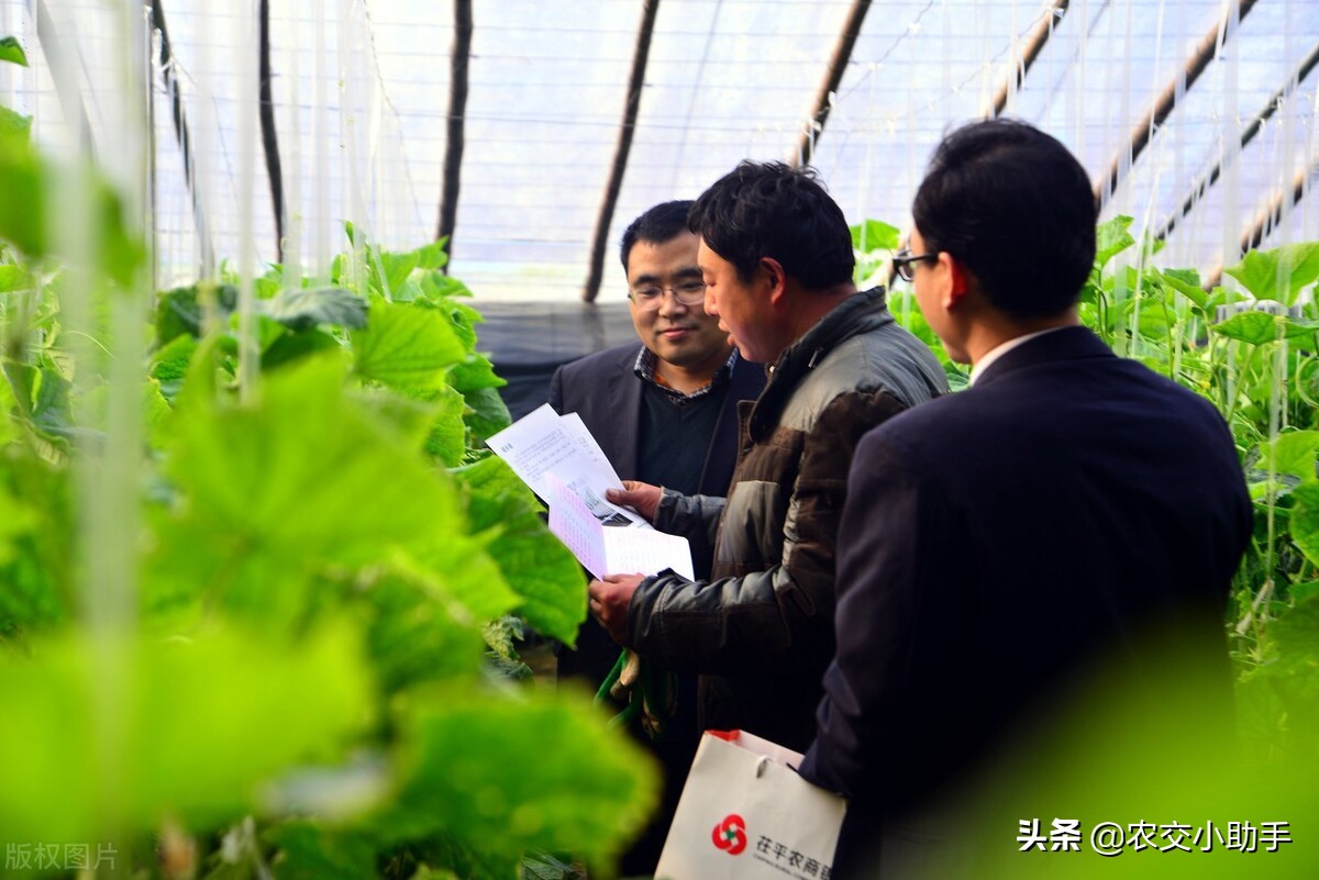 申请农业贷款后一般多久发放？有哪几种贷款方式？