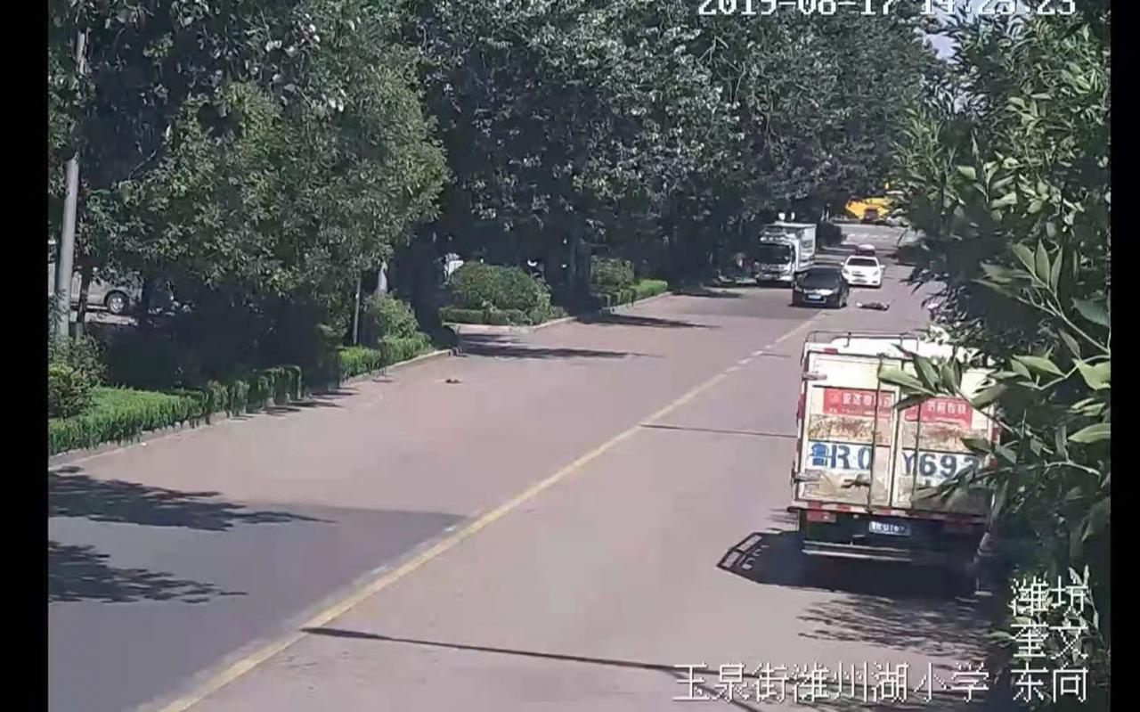 老人遭陌生男子爬车后加速行驶致人死亡，二审维持过失致人死亡罪