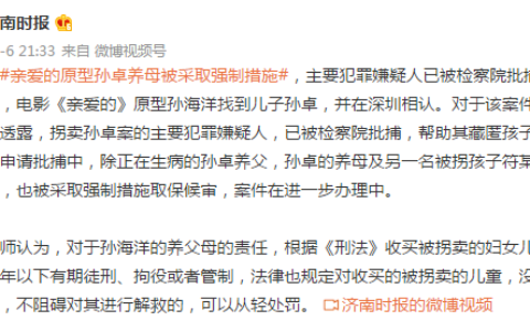 亲爱的原型孩子养母被采取强制措施及案件细节披露