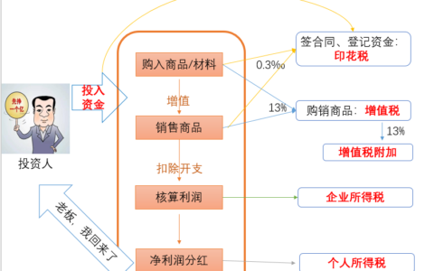 公司怎么交税及企业交税流程及办法