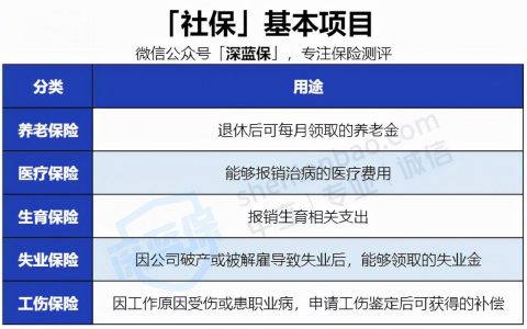关于个人养老保险及2025年社保缴费档次表
