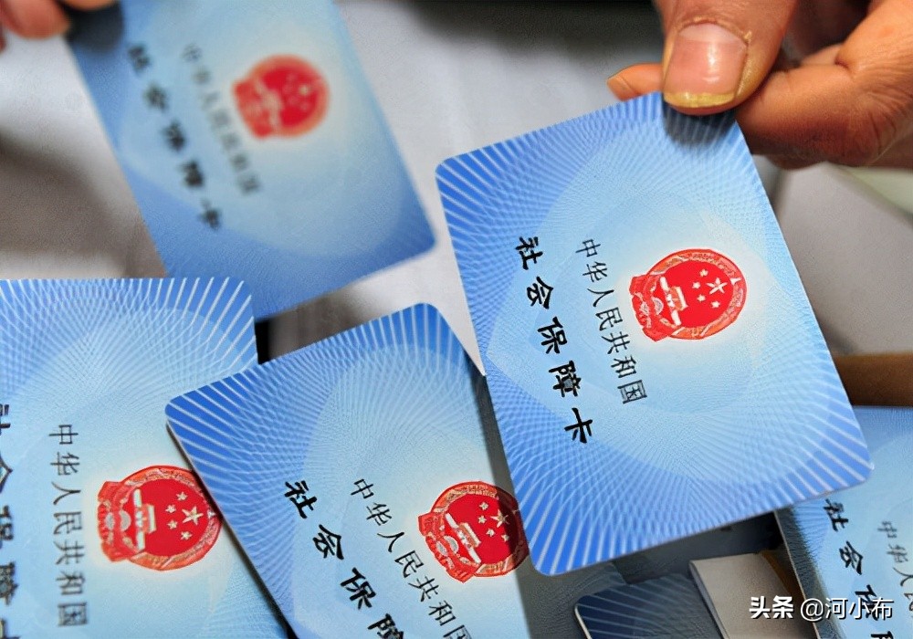 农村养老保险在手机上怎么查询
