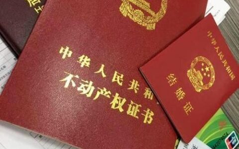 个人房产抵押贷款贷款及以个人住房为抵押品的贷款