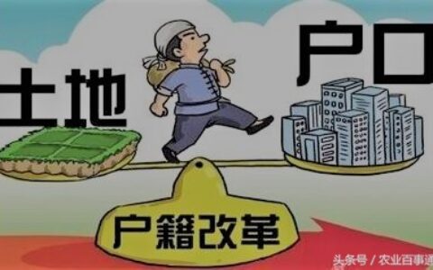 土地确权意味着什么及土地确权最新政策