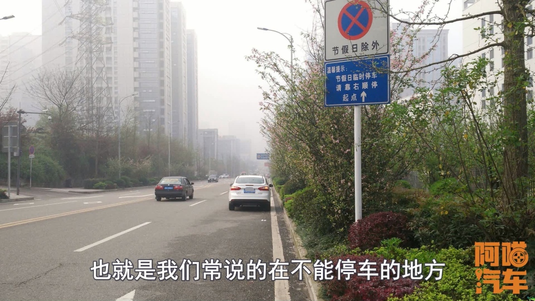 什么是违反禁令标志指示？喵哥给你说清楚，下次避免违章