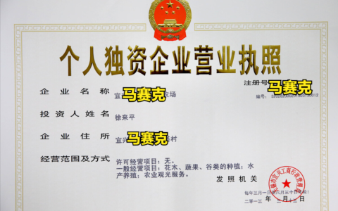 注册个人独资企业营业执照有哪些注意事项？