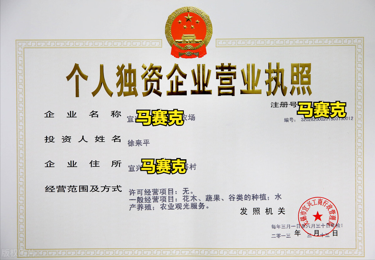 注册个人独资企业营业执照有哪些注意事项?