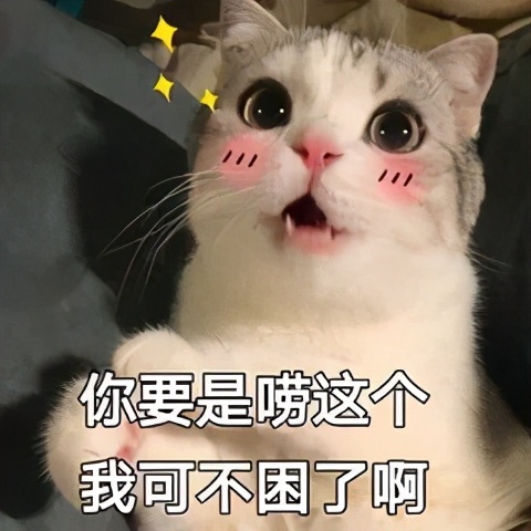 我为群众办实事 | 无犯罪记录证明也可以通过“政务服务一体机”领取啦！