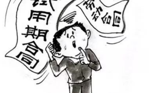 学历造假承担什么责任及事业编假学历处理政策