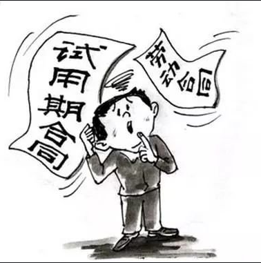 学历造假承担什么责任及事业编假学历处理政策